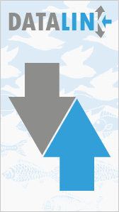 DataLink